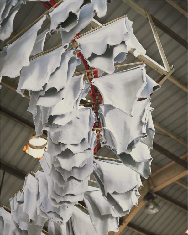 Pieces of leather are hanging to air dry after being tanned.