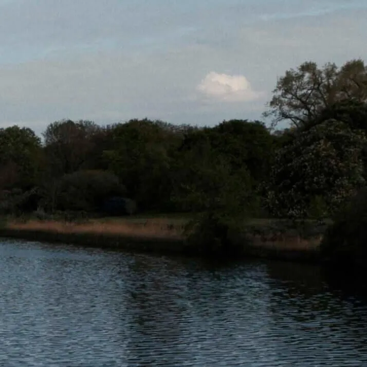 A Conscious Commitment